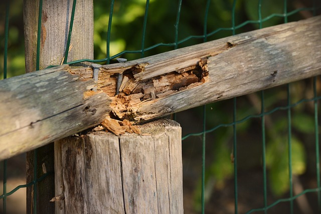 5 Signs It’s Time to Replace Your Fence hercules gsa